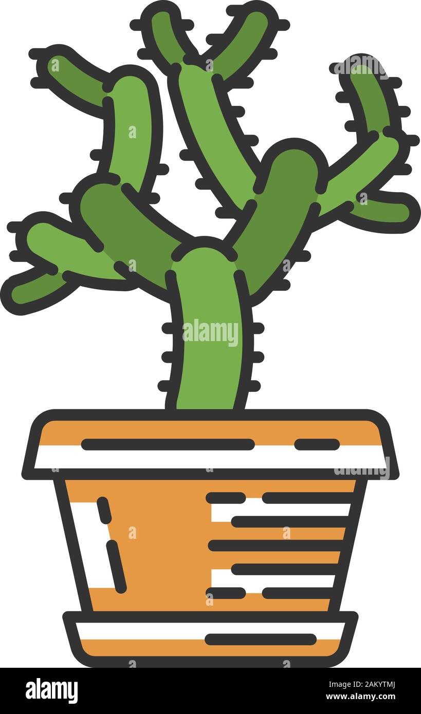 Teddy bear cholla cactus in pot color icon. Cylindropuntia. Cylindroid-jointed cacti. House and garden plant. Isolated vector illustration Stock Vector