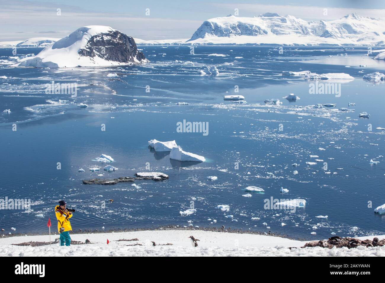 Tourists at Danco Island, Antarctic Peninsula, Antarctica Stock Photo ...