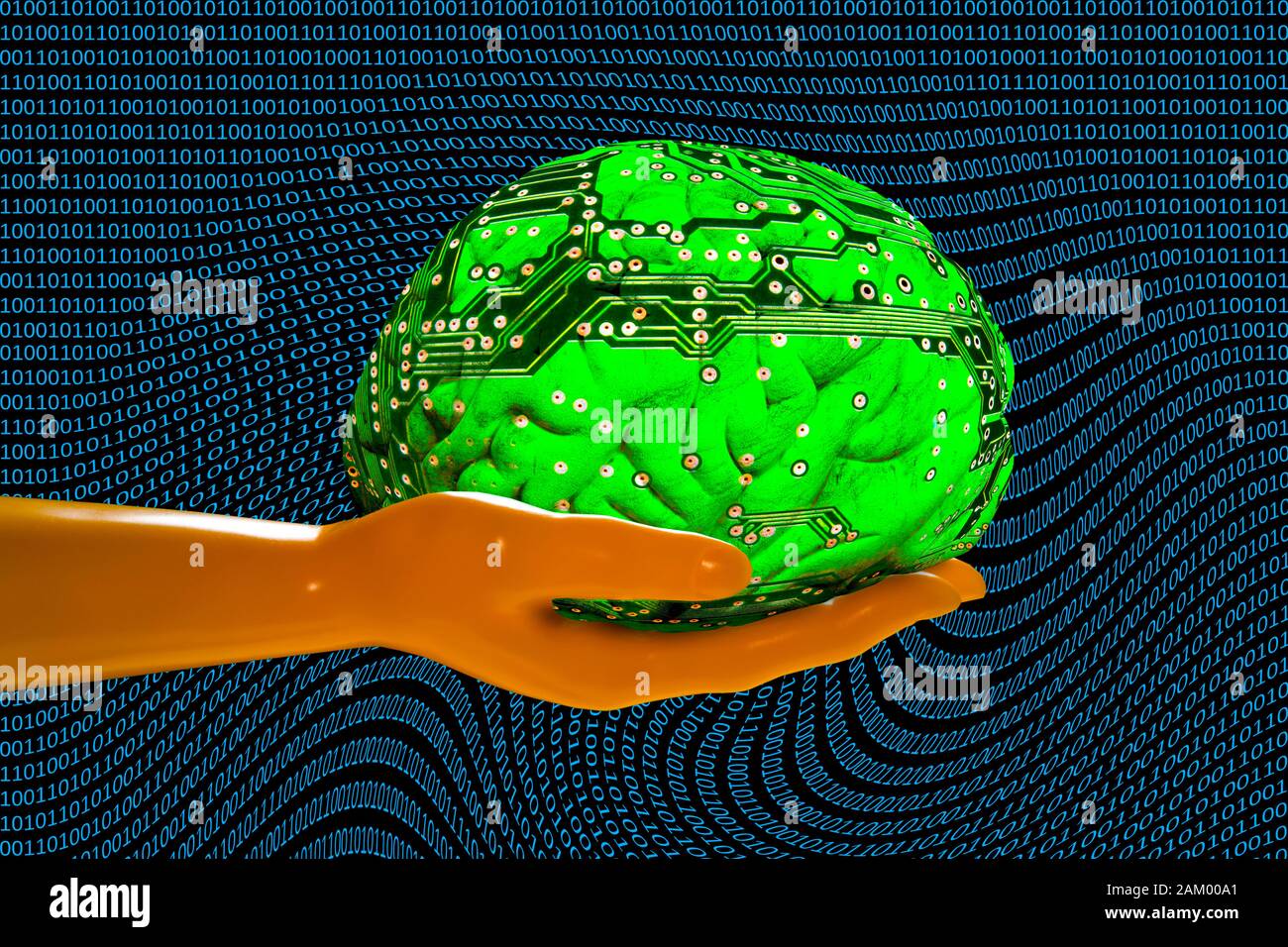 Brain on mannequin's hand with binary code Stock Photo