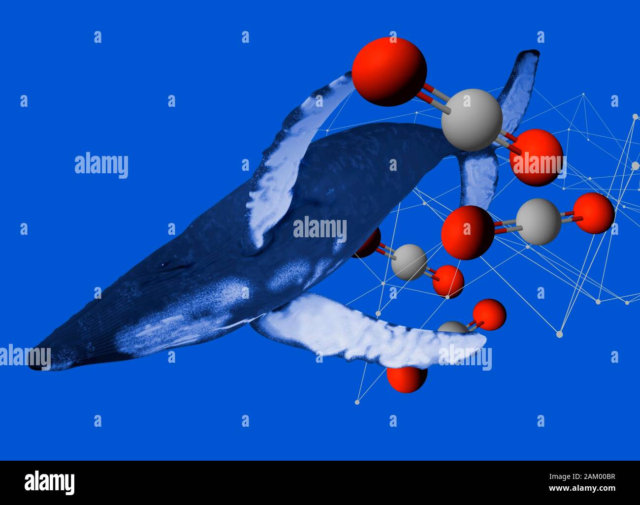 Carbon dioxide atoms and whale, illustration Stock Photo