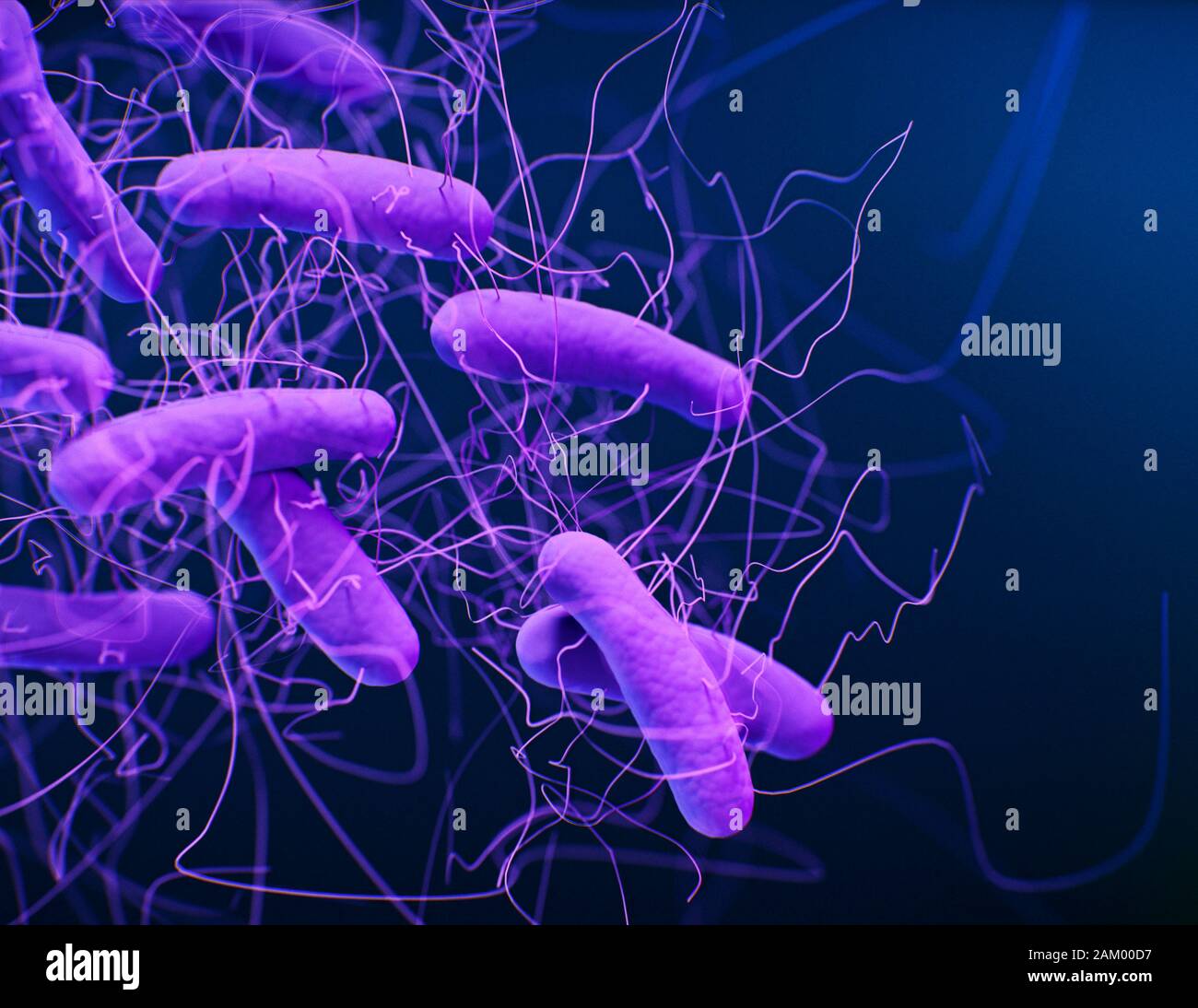 Clostridioides difficile gut hires stock photography and images Alamy