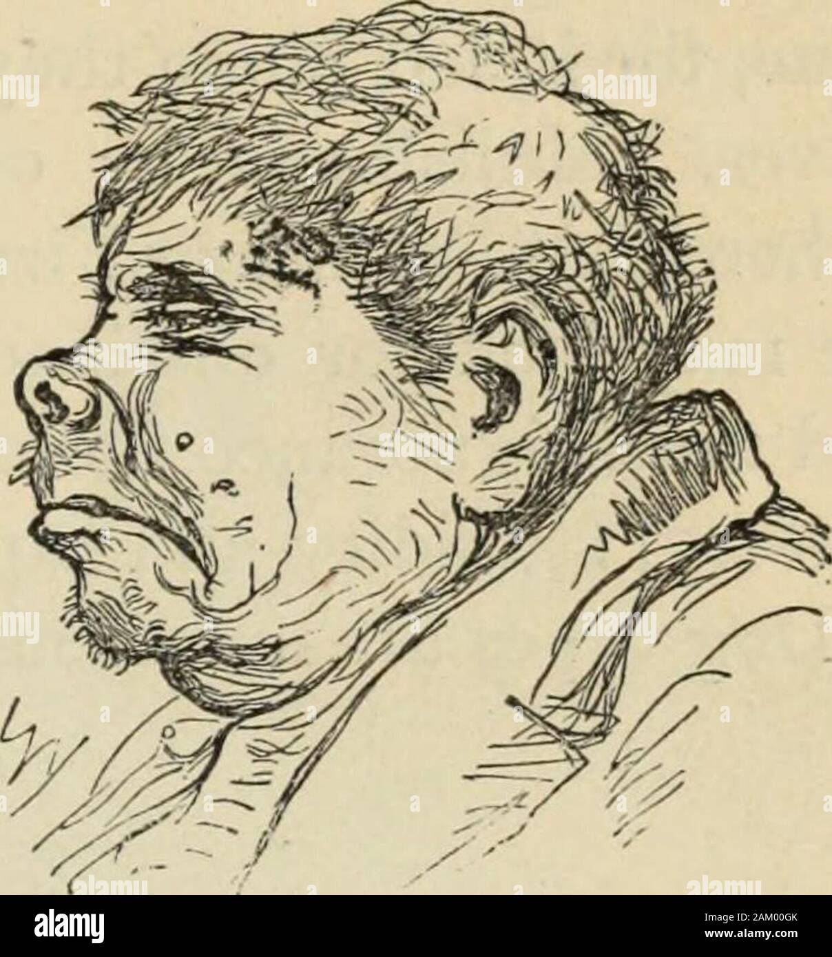 New Physiognomy : or signs of character, as manifested through temperament and external forms, and especially in the 'the human face divine.' . Fig. 903—Hog. Fig. 904.—Hoggish. ger, but even his own kin, because however well supplied histable, he has .only enough for himself. What a pig the fel-low is ! Sure enough! Selfishness is natural and is inheritedby all, while kindness is more generally the result of culture.Were children not taught to be generous and to divide, therewould be far more selfishness in the world than there is. Stock Photo
