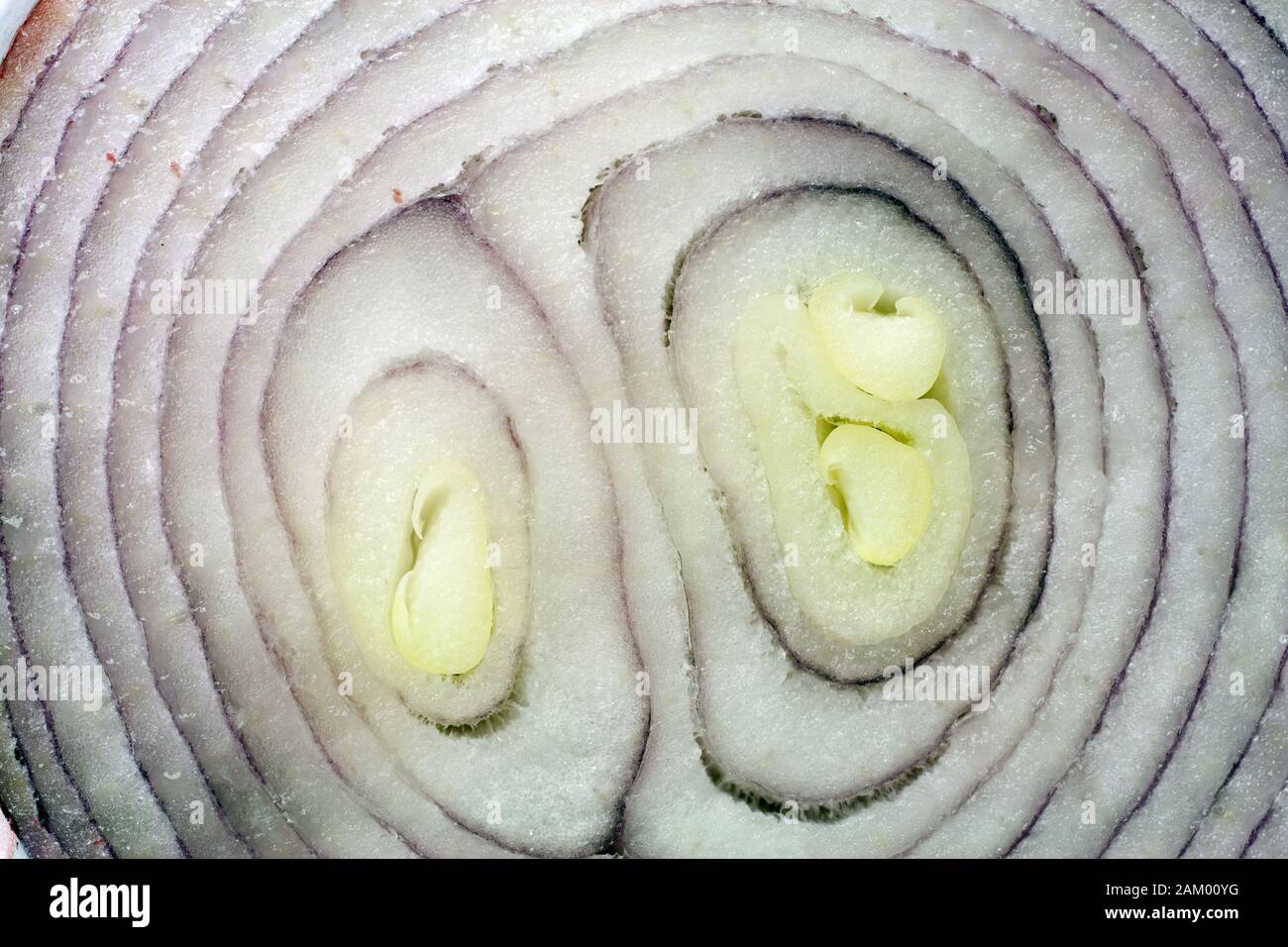 Red onion sliced tropea hi-res stock photography and images - Alamy