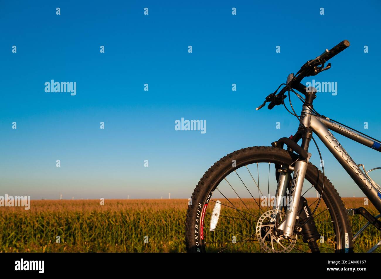 Trek bicycle on a roof rack with corn 