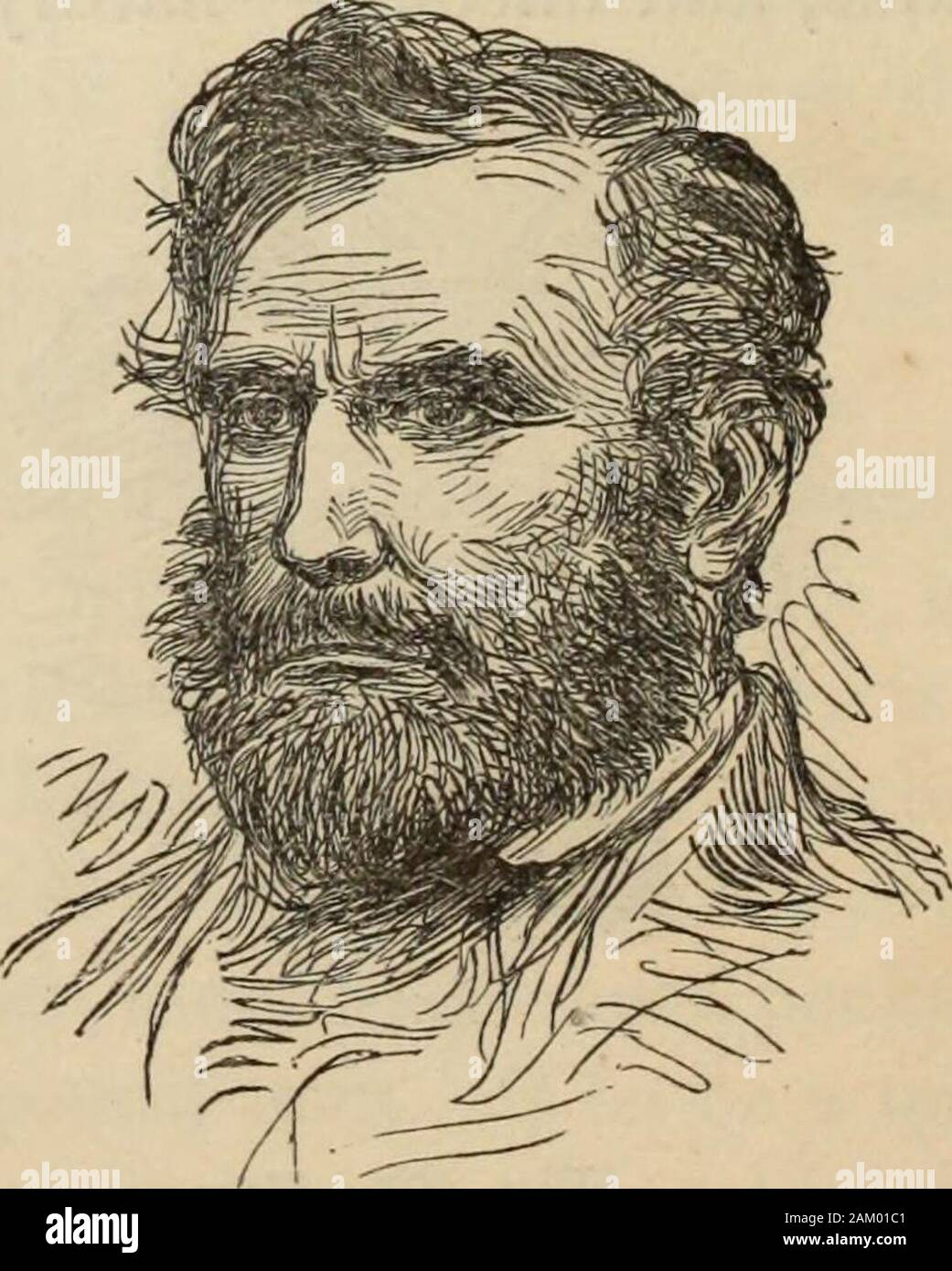 New Physiognomy : or signs of character, as manifested through temperament and external forms, and especially in the 'the human face divine.' . Fig. 901.—Bear. Fig. 902.—A Great Bear.  That some people are hoggish seems to be universallyadmitted, though a resemblance in physiognomical expression COMPARATIVE PHYSIOGNOMY, 017 as strong as that exhibited in our cuts, may not always betraced. The hog is a selfish, acquisitive, and, in a low sense,inquisitive animal. The hoggish man is greedy, makes a godof his belly, and inhospitably drives away not only the stran- Stock Photo