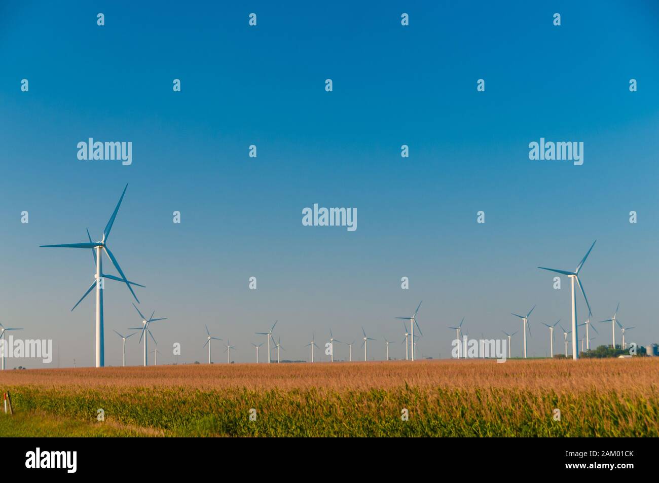 A field of large wind turbines in Dexter Minnesota, USA Stock Photo