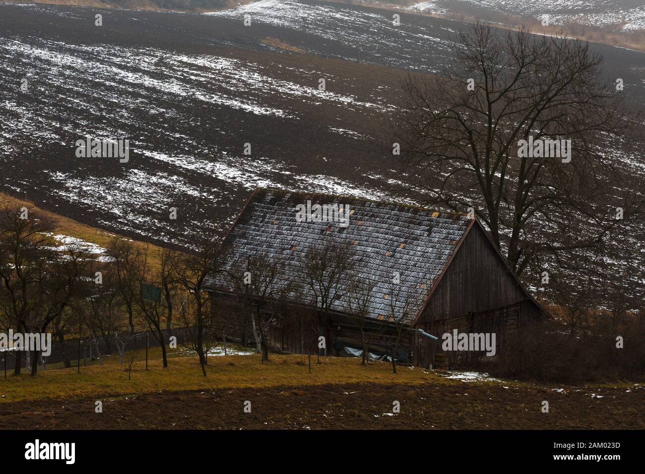Traditional wooden barn in a village of Turiec Region in northern Slovakia in winter. Stock Photo