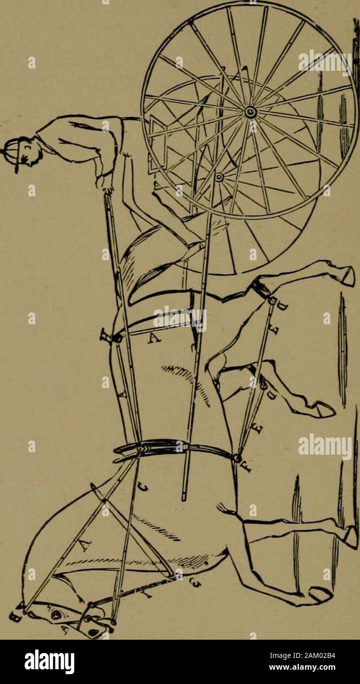 Gleason S Veterinary Hand Book And System Of Horse Taming O As Tokeep The Head In A Confined Position Represented Inengraving Page 456 Keep The Cord In Your Hand So Incase Of