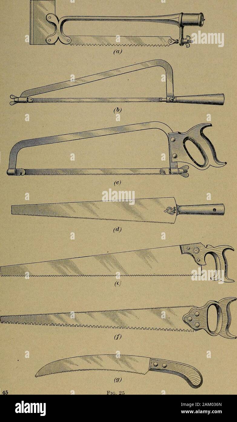 [Fruit culture] . curve shape, the teeth of which are somade that they cut most while the saw is being pulled ratherthan pushed. 40. Pruning Saws.—^Among the implements of the fruitgrower should be found one or more desirable pruning saws,several types of which are shown in Fig. 25. That type ofsaw with a thin, slender blade held rigidly in a steel framethat bows backwards several inches from the blade is a verypopular saw, although many orchardists prefer the commontype of saw. The implement shown in (a) is attached to a long handleand fastened to one end of the saw frame is a chisel. Thechis Stock Photo