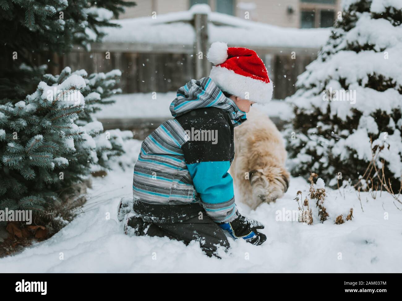 Boy in Santa hat playing in the snow with a dog in a yard. Stock Photo