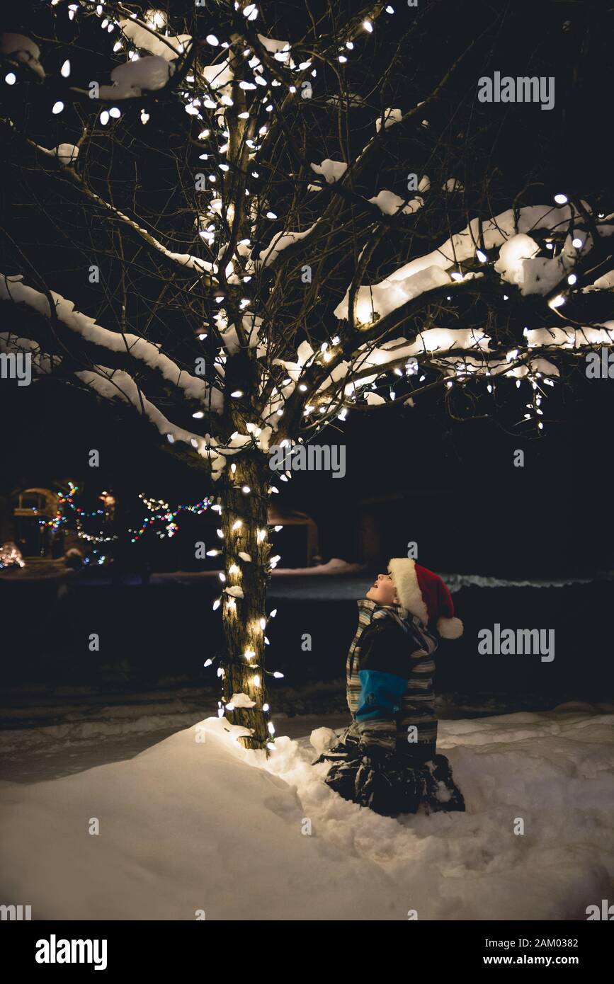 Boy in Santa hat sitting in snow looking at Christmas lights on tree. Stock Photo