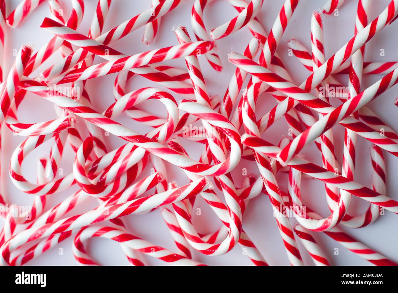 Close up of many candy canes against a plain white background. Stock Photo
