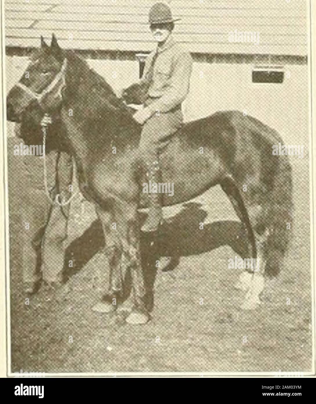 331st field artillery, United States army, 1917-1919 . First Lieut. George Wallace Miller Born at St. Paul, Minnesota, March 4, 1893 University of Minnesota, Electrical Engineering,Class of 1918. Commissioned 1st Lieut. Nov. 27, 1917 atFort Snelling. Minnesota. Joined 331st F. A.Dec. 15, 1917. With C Btry Dec. 15, 1917 toOctober 12, 1918. Assigned to HeadquartersCompany October 12, 1918. T. First. Lieut. Wayne A. Baird Commissioned 2nd Lieut., August 15, 1917at Fort Sheridan, Illinois. Joined 331st F. Aand assigned to Headquarters Company Aug. 29.1917. Promoted to 1st Lieut. Dec. 31, 1917Trans Stock Photo