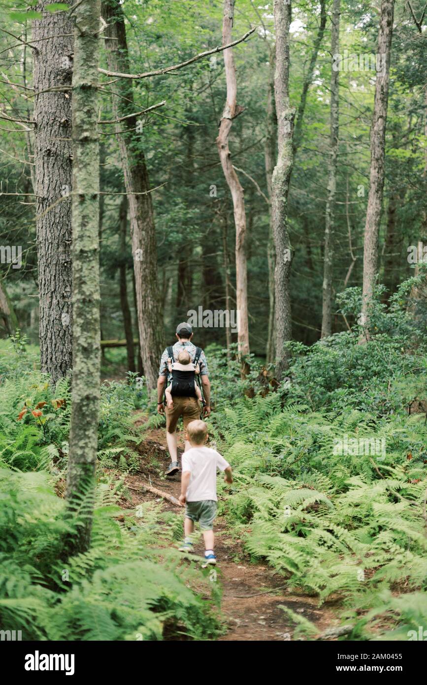 A young family and their dog on a nature walk. Stock Photo
