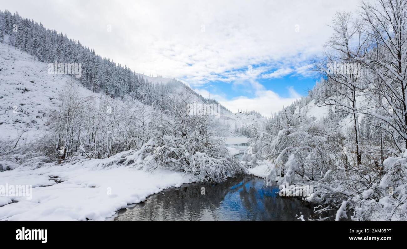 Katta sikli rus aktyorlari