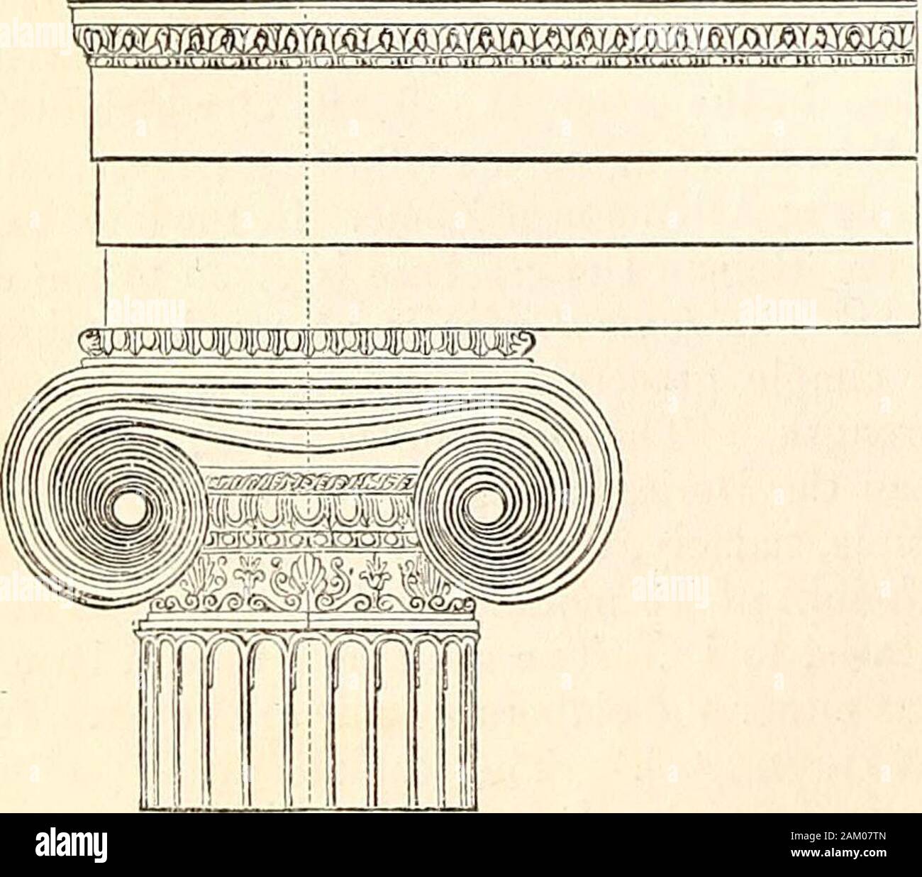 A Dictionary Of Greek And Roman Antiquities Column A Cornice