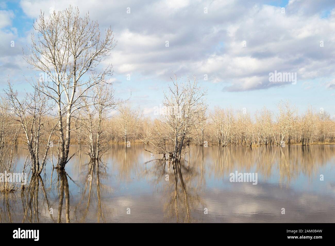 Temporary lake created by spring flooding Stock Photo