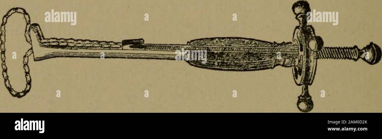 Gleason's Veterinary hand-book and system of horse taming .. . No. 1. Above are shown two patterns of the ecraseur manu-factured in Philadelphia for use in the University ofPennsylvania, veterinary department.. No. 2. This is a very good representation of a sim-ilar instrument which is also manufactured in INSTEUMENTS. 143 Philadelphia. The ecrasseur is now extensively and suc-cessfully used for castrating colts, and for the removal oftumors. The object of using this instrument is, that nobleeding follows its use. (See Castration.) No. 3 is a spring lancet, and wasinvented by a Mr. Weiss, of L Stock Photo