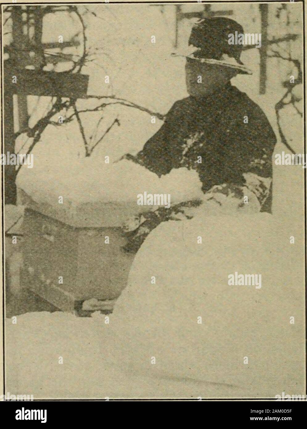 Gleanings in bee culture . P:g 1.—Hunting bees—not in the woods, but inthe snow. Standing waist deep, a big cake of snowwas tirst removed, exposing the top of the hive. completely enveloped the hives. In anotherview (Fig. 5) will be seen the men loadingthe hives on a low-wlieeled wagon with widetires. It was impossible to use any sled orbobs on account of the depth of snow, andfrom the further fact that the runners would. Pig. 2.—Lifting up the hive through three feet ofsnow. DECEMBER 15, 1913 889 Stock Photo