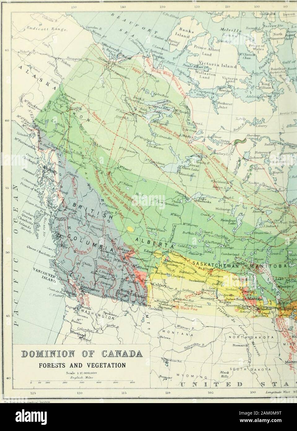 Canada and its provinces : a history of the Canadian people and their institutions by one hundred associates . ning such species as Purshiatridentata, Artemisia tridentata, and species of Gilia, Cactacea,Astu and Erigonum. On the Pacific coast and in the Sclkirks, where the pre-cipitation is heavy, the vegetation is of tropical luxuriance, andthe forest is of great value. The mixed forest of EasternCanada is also most important for its timber. The southernportion of the northern forest has merchantable timber, andthe northern forms a vast storehouse of pulpwood. Wherethe original forest has be Stock Photo