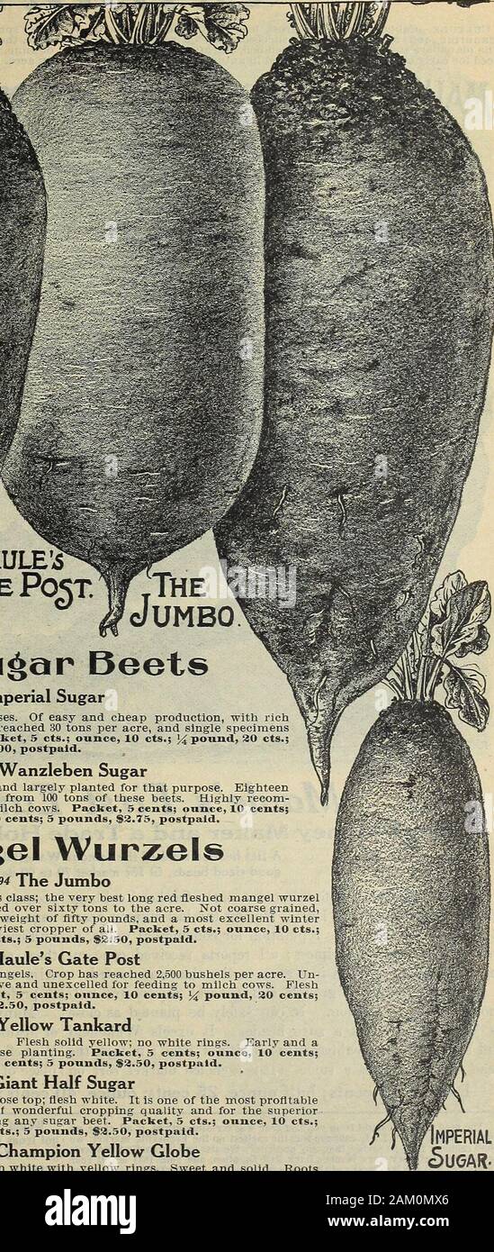 The Maule seed book : 1917 . Klein Wan^lebenMI. M/5ULEI G/itePo^tWThe ^  ^^Su^ar Beets 92 Imperial Sugar Best for stock feeding purposes. Of easy  and cheap production, with richsugary quality. The crop