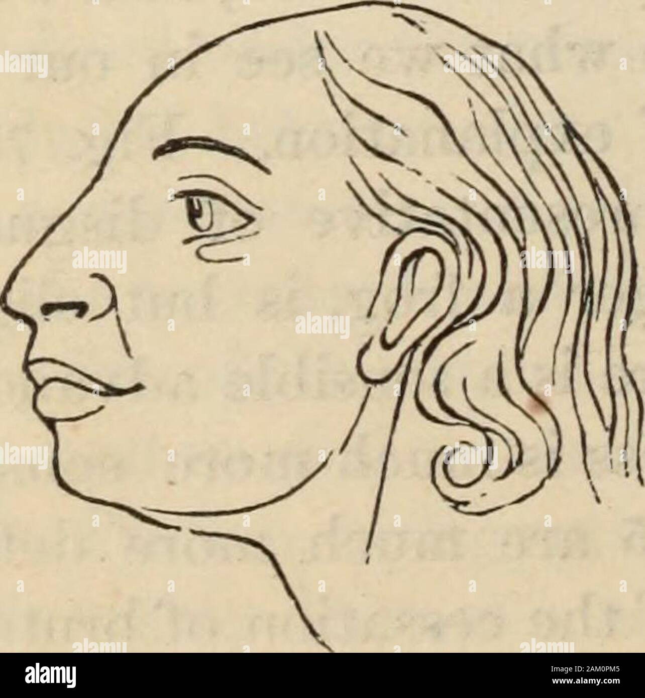 Human External Form New Physiognomy : or signs of character, as manifested through ...
