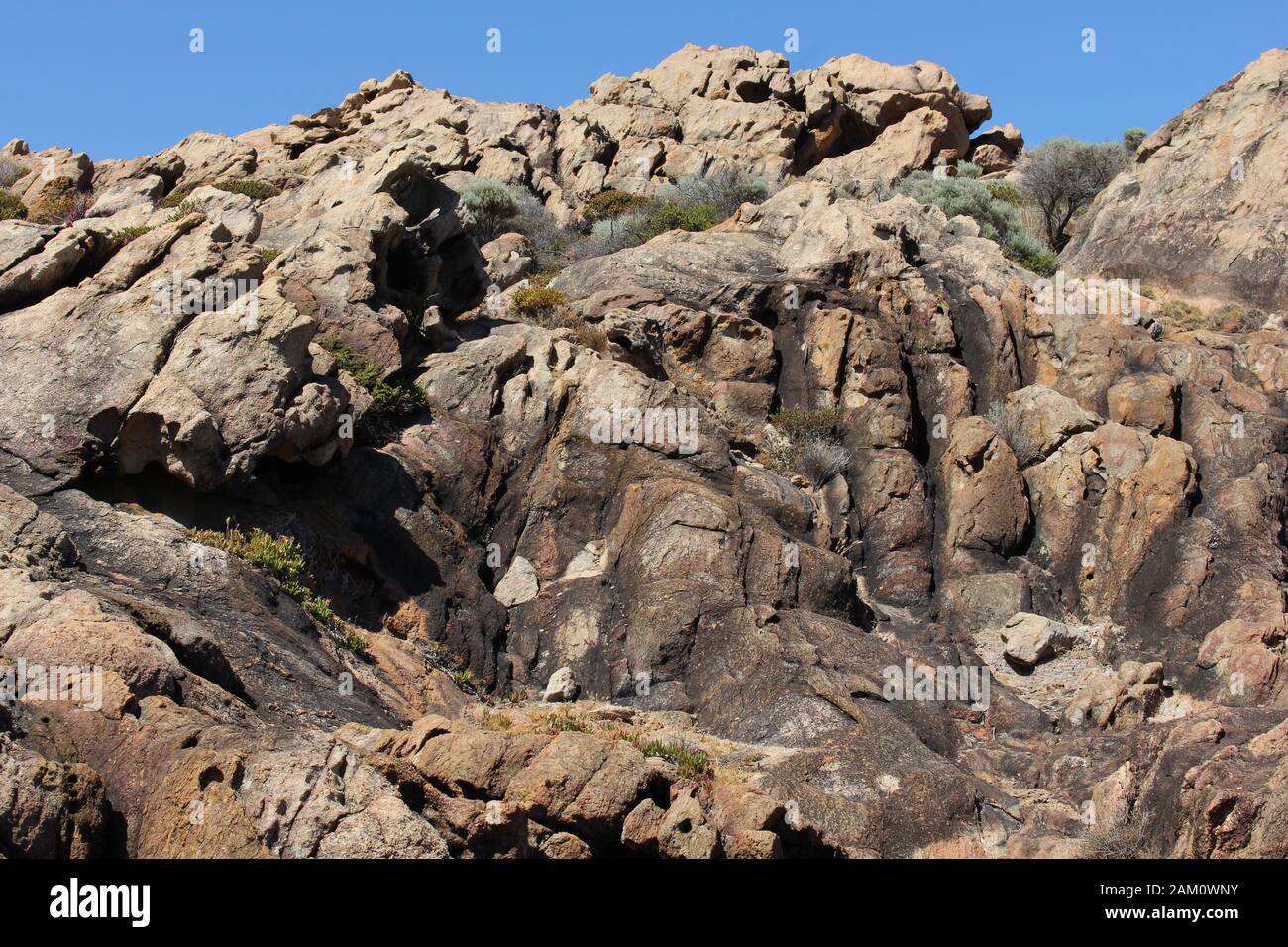 Rockcliff near coastline Stock Photo Alamy