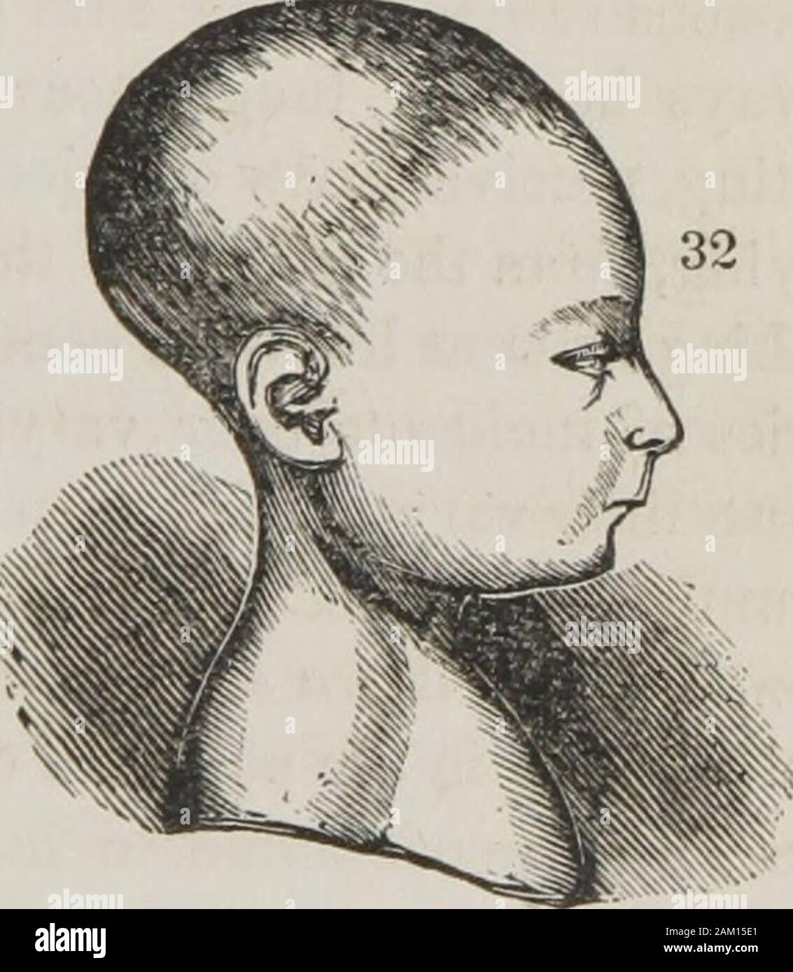 Memory and intellectual improvement applied to self-education and juvenile instruction . No. 16. Sheridan.. No. 17. Child. Located in the middle of the forehead, directly above Indi-viduality 419, and between the two lobes of Locality464 thoughextending somewhat higher up. Its full development fills androunds out the middle of the forehead as in the accompanyingengravings of Sheridan and a child. It is also very large 82 CULTIVATION OF EVENTUALITY. in Burritt419 and Michael Angelo41*, but moderate in Frank-lin417, as is evinced by that depression in the middle of hiaforehead. It is large in Pi Stock Photo