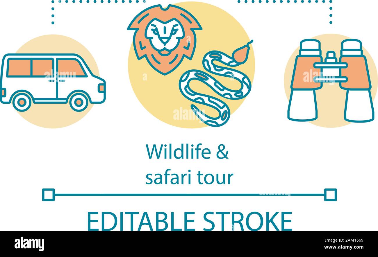 Wildlife and safari tour concept icon. Travel experience idea thin line illustration. Wild animals observation. Jungle trip. National parks. Vector is Stock Vector