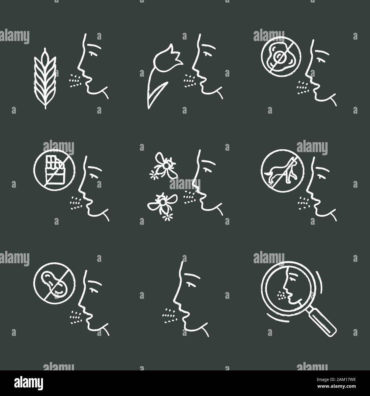 Allergies chalk icons set. Food, animal, insect stings allergy, hay fever, diagnosis. Allergic diseases. Medical health care. Healthcare, medicine. Is Stock Vector