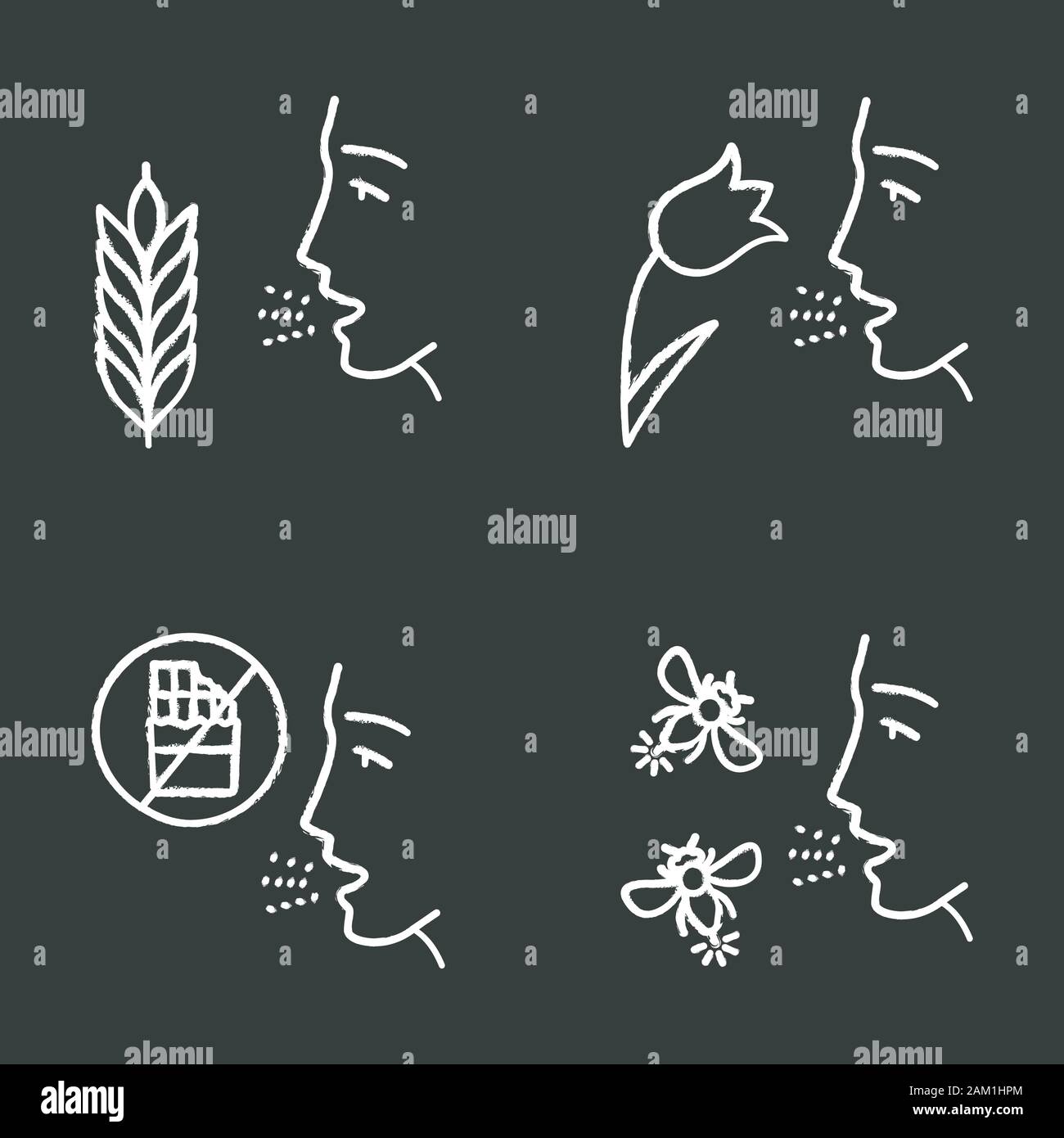 Allergies chalk icons set. Hay fever, allergy to food and insects stings. Sensitivity of immune system. Allergen sources. Medical problem. Cause of sw Stock Vector