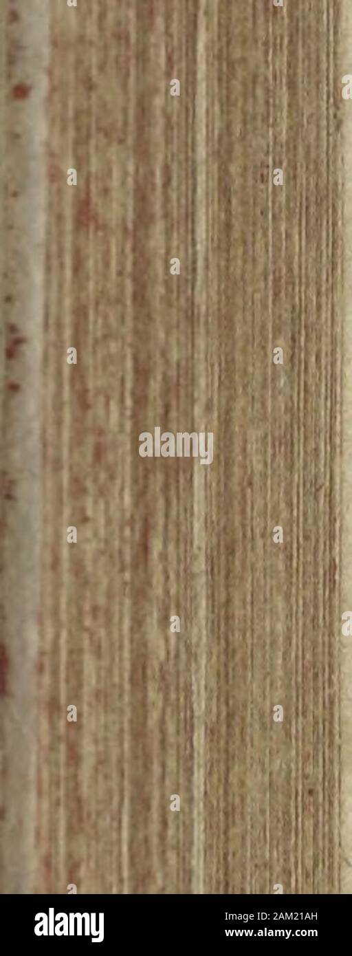 S Iii Ac Stock Photos S Iii Ac Stock Images Page 2 Alamy