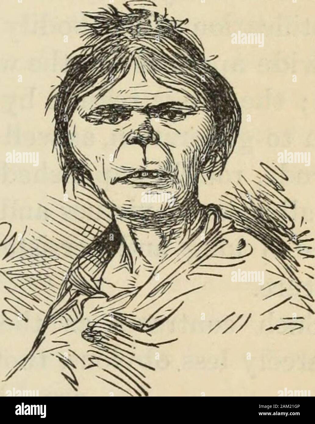 New Physiognomy : or signs of character, as manifested through temperament and external forms, and especially in the 'the human face divine.' . Fig. 747. - Florence NIGHTl^GALE. Fig. 748.—Bridget McBruiser. would, no doubt, have love for her husband. The points forthe physiologist, phrenologist, and physiogn(5mist to decideare the natural disposition of each, and wherein they differ.He observes the temperaments; the forms of body; learnswhat parts of body and brain predominate; judges of thedegree of culture each has received; compares the quality ofone with that of tlie other, and draws the l Stock Photo