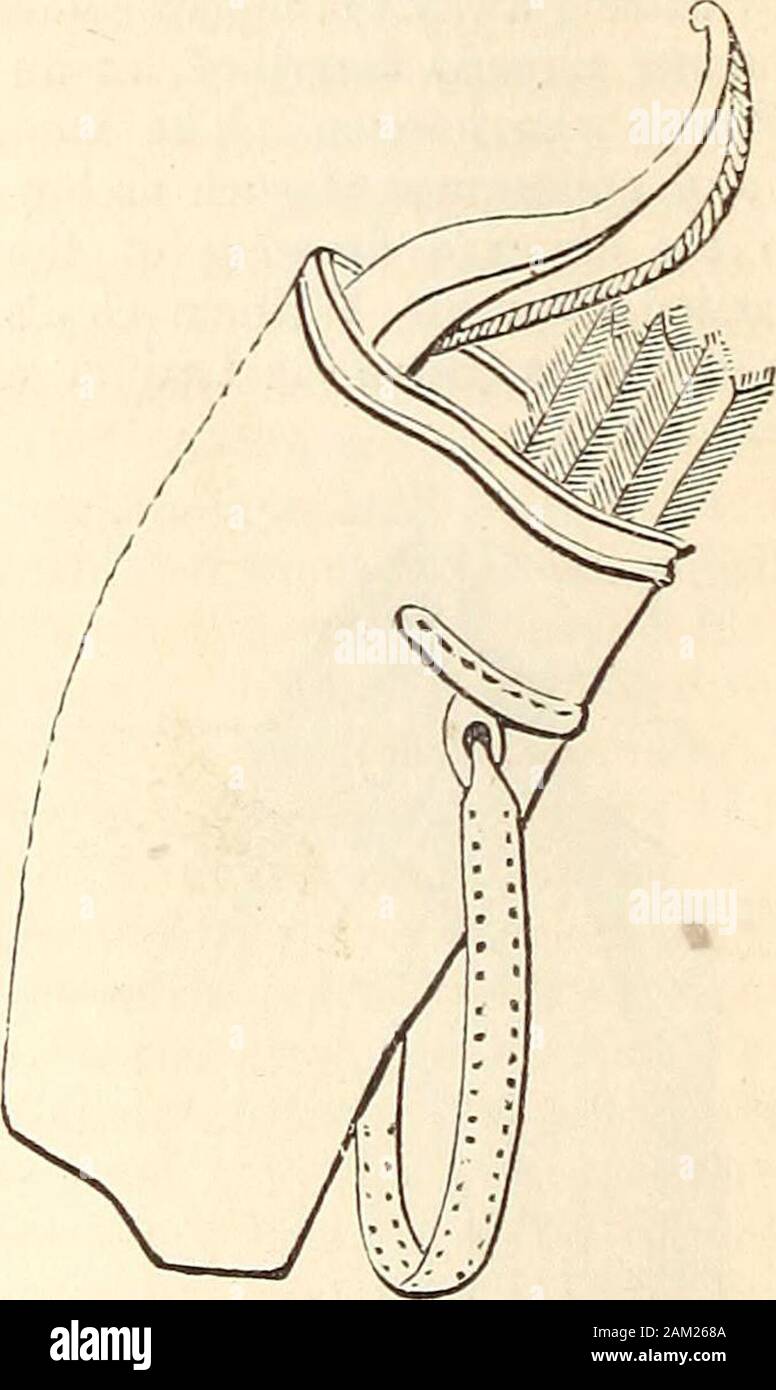 A dictionary of Greek and Roman antiquities.. . When not used, the bow was put into a case(ro£o6r]Kri, yoopvros, Corytus), which was made ofleather, and sometimes ornamented (cpaeivos, Horn.Od. xxi. 54). The bow-case is very conspicuousin the sculptured bas-reliefs of Persepolis. Itfrequently held the arrows as well as the bow,and on this account is often confounded with thePharetra or quiver. Though its use was com-paratively rare among the Greeks and Romans,we find it exhibited in a bas-relief in the MuseoPio-Clementino (vol. iv. tav. 43), which is copiedin the annexed cut.. ARDALION (apMXio Stock Photo