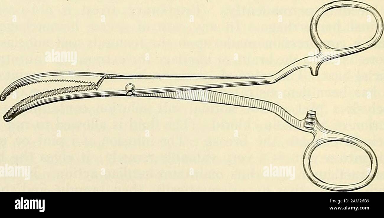 Modern surgery, general and operative . Fig. 202.—Halsteds straight