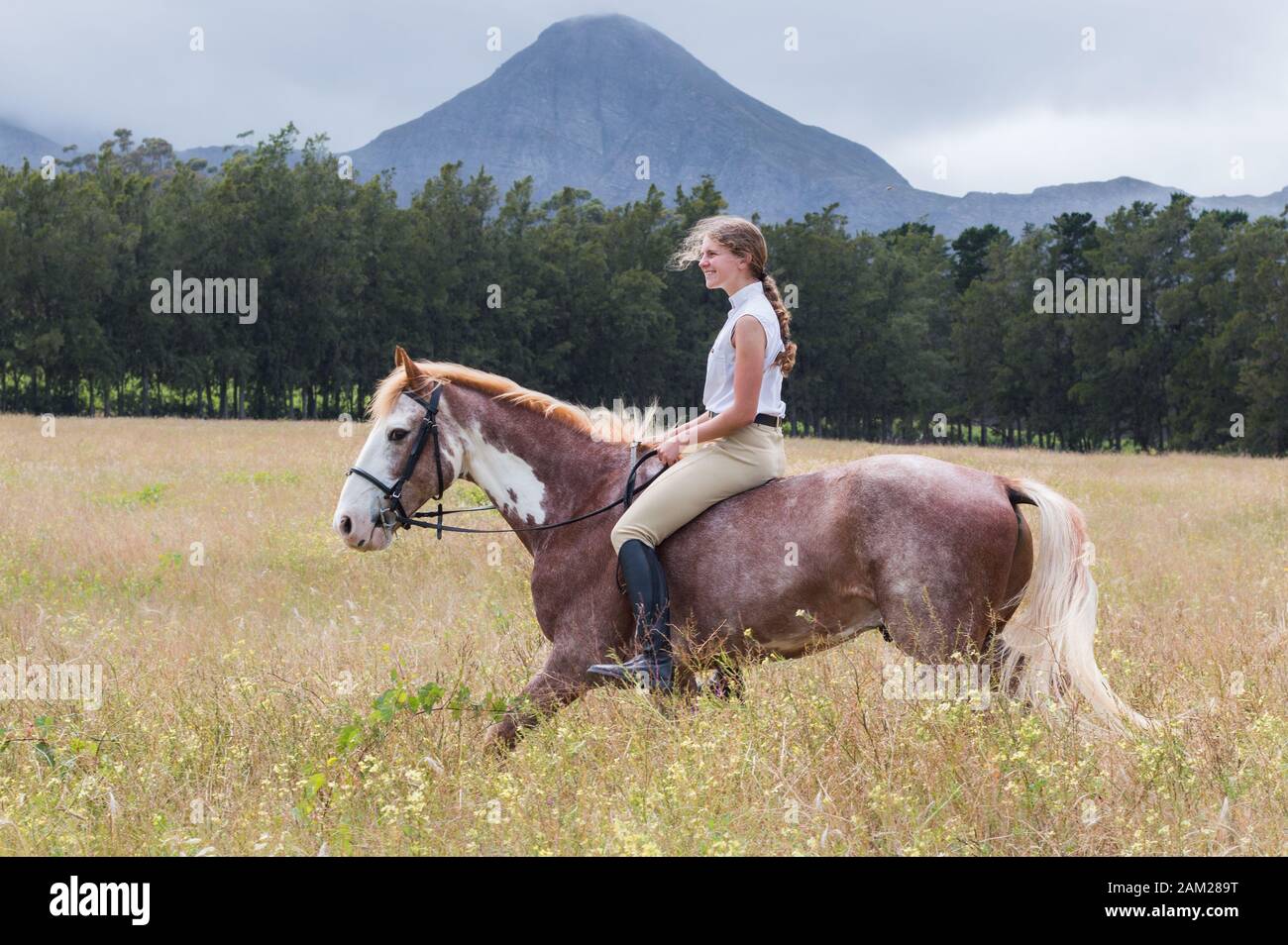 Woman girl riding bareback hi-res stock photography and images - Alamy