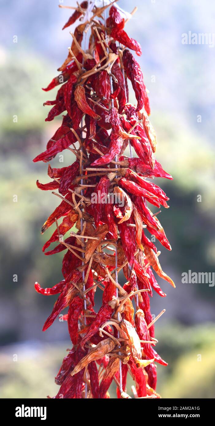Red hot chili peppers on sale at a roadside truck stop in Italy Stock ...