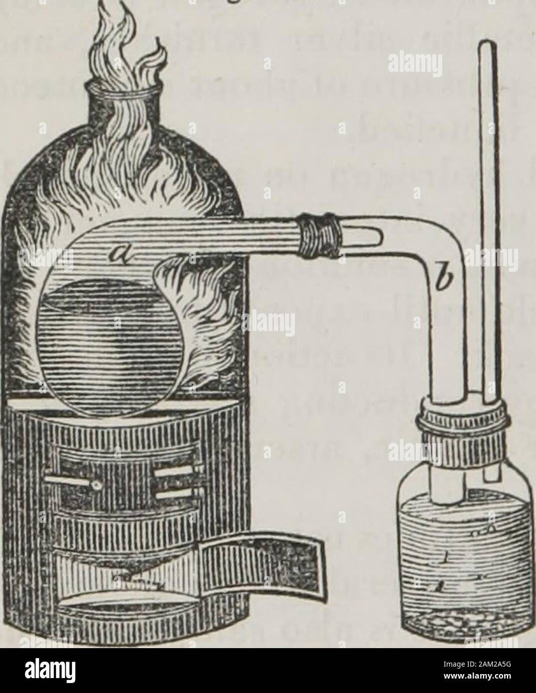 Bent neck lute hires stock photography and images Alamy