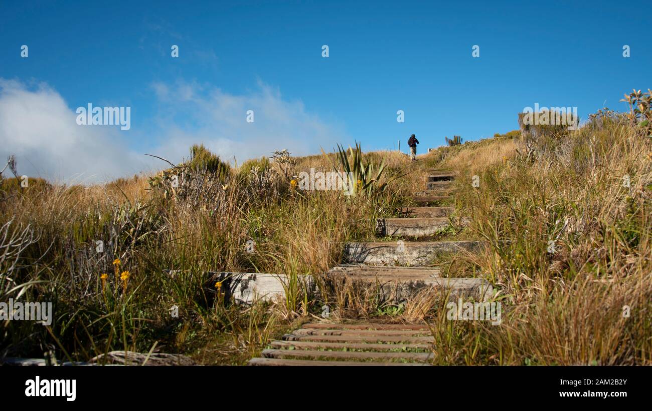 Hiking Pouakai Circuit with steps leading up to the Pouakai hut Stock Photo Alamy
