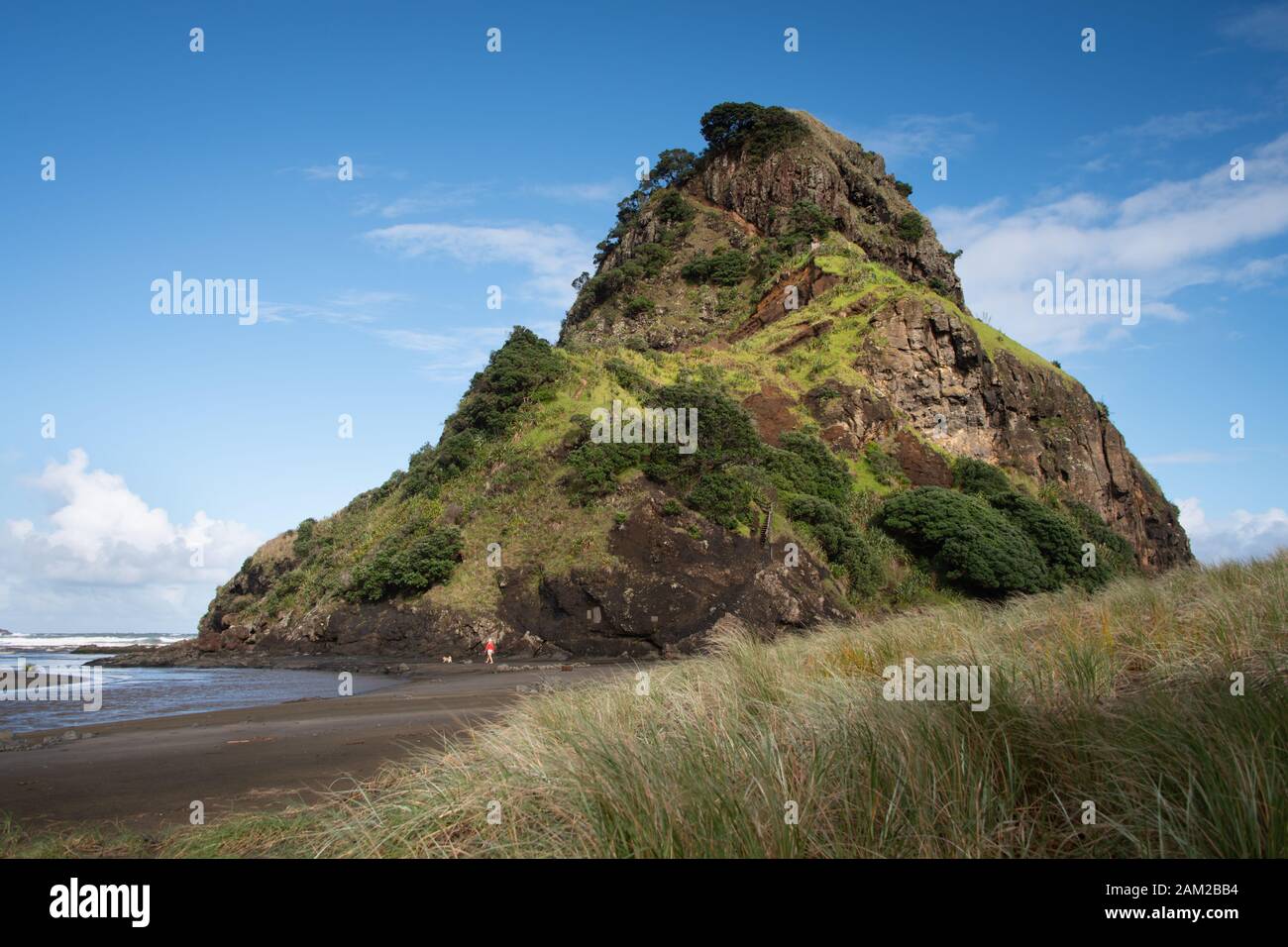 Lion Rock at Piha beach, west Auckland, New Zealand Stock Photo