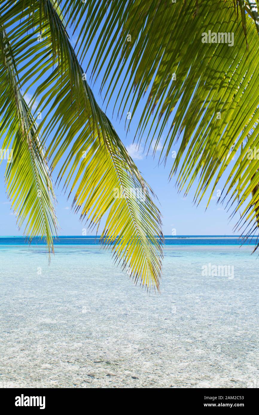 Lagoon at Tetamanu, Fakarava, Tuamotu Islands, French Polynesia Stock Photo