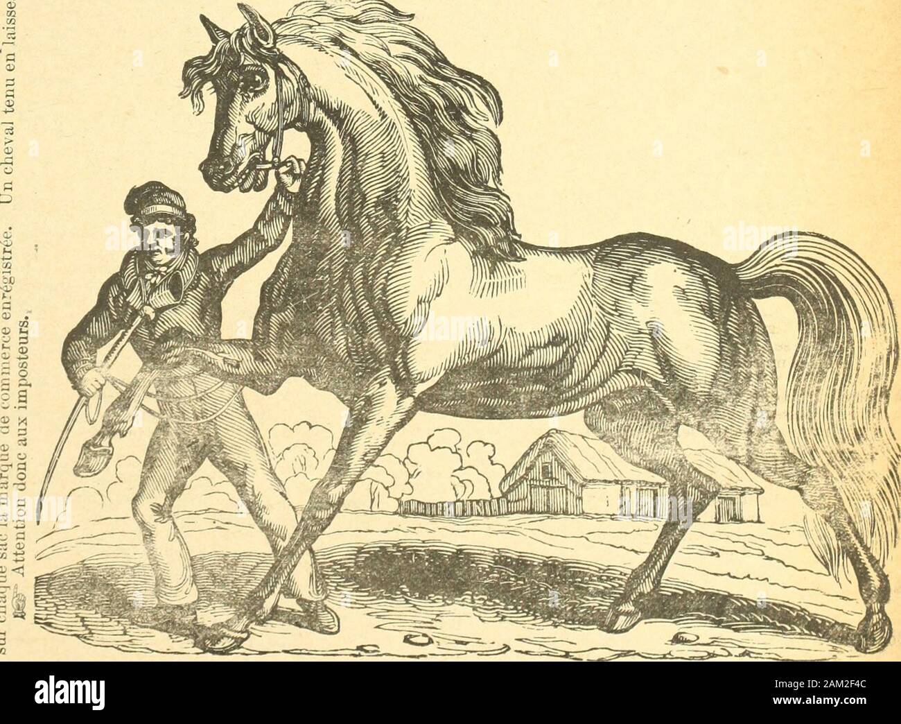 Page 2 R M 24 C 14 High Resolution Stock Photography And Images Alamy
