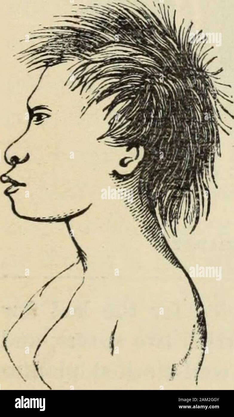 Human External Form New Physiognomy : or signs of character, as manifested through ...