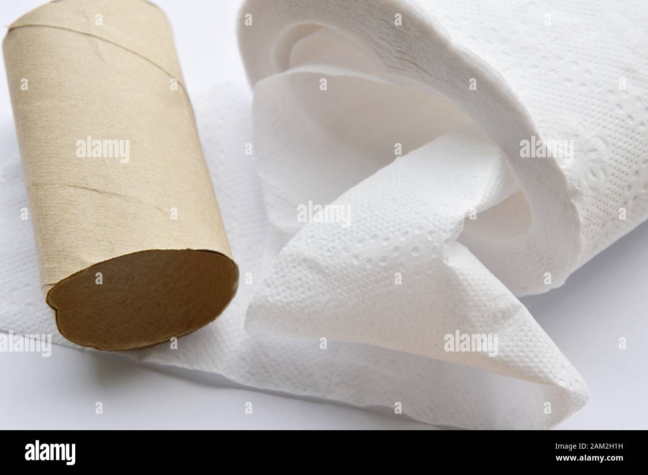 Hard toilet paper hi-res stock photography and images - Page 2 - Alamy