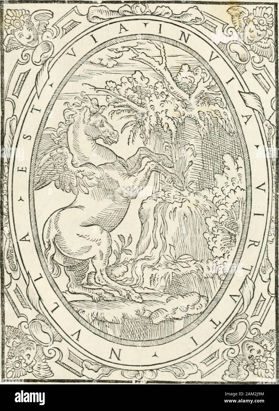 Vrbis Romae Topographia Oiicis C Etctif Co Tr Lt N In Iudicio Uam Extra Haberi Ce Frcefenti Originaii Fcakretmr Et Juodpr E Enris Motws Froftvifaafignaturafufficiat Nhicj Ftdemfaci Lt Itm Iudtcio Extrayreguu