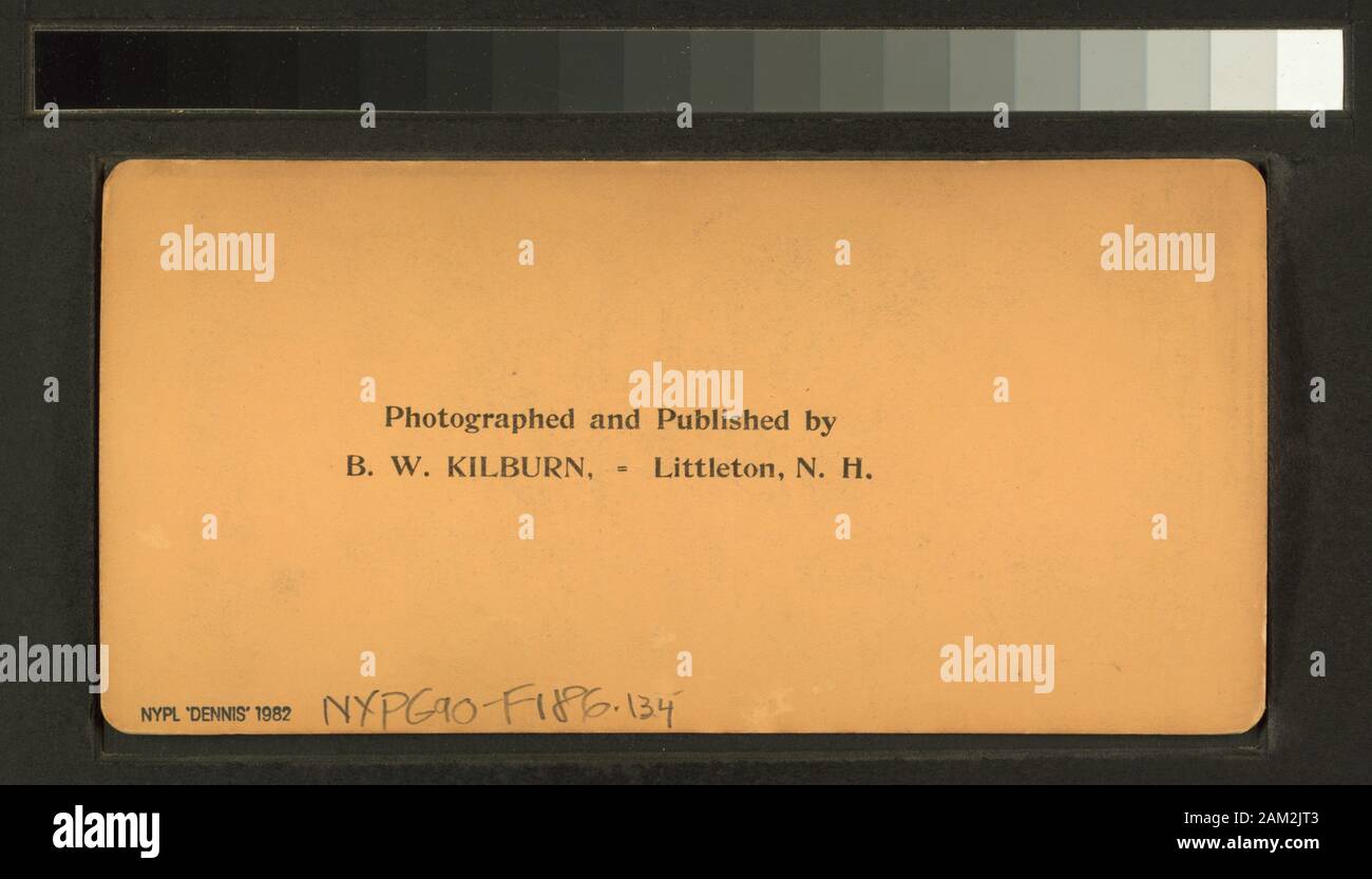 The wonder of the age, Midway Plaisance, World's Columbian Exposition