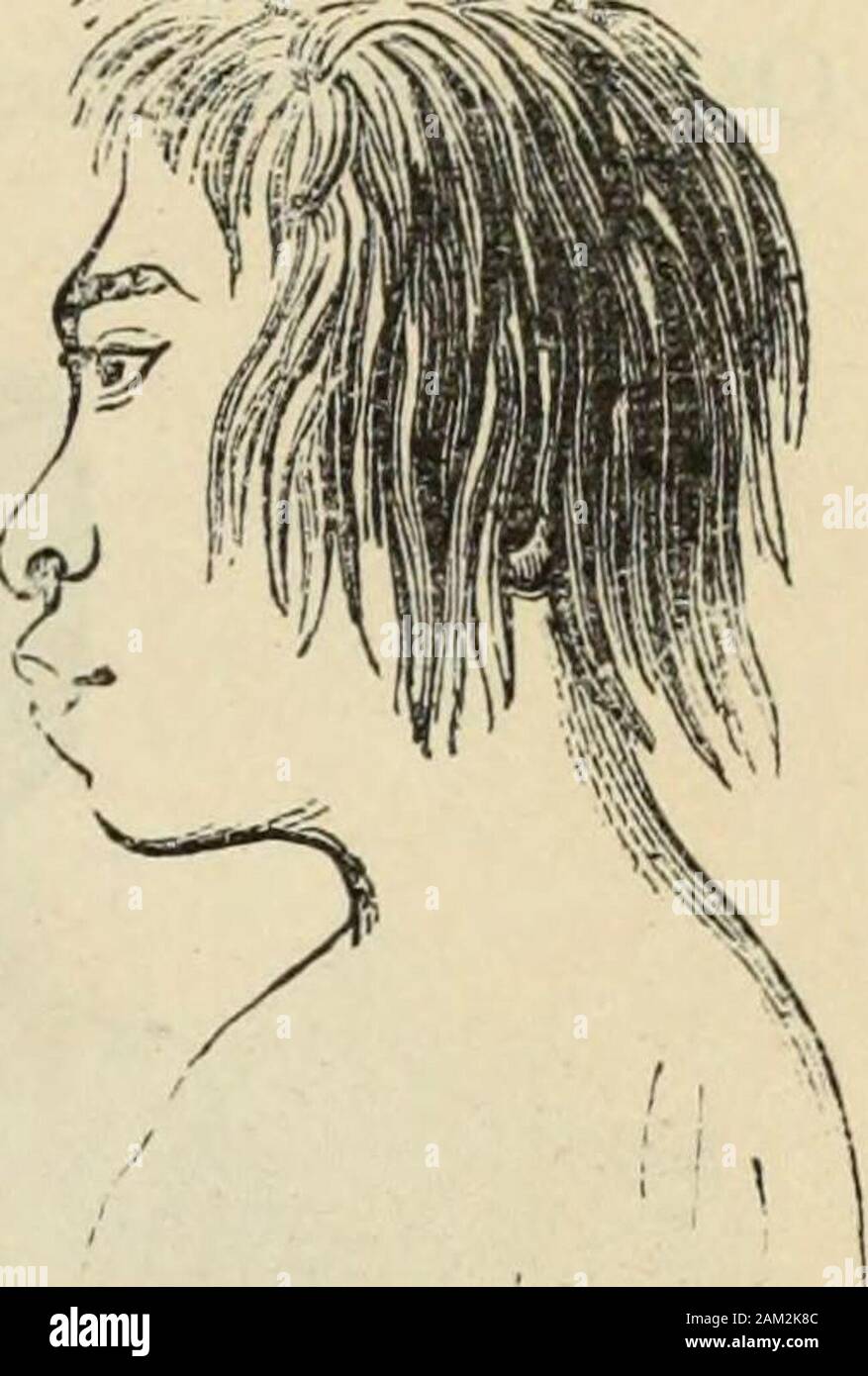 Human External Form New Physiognomy : or signs of character, as manifested through ...
