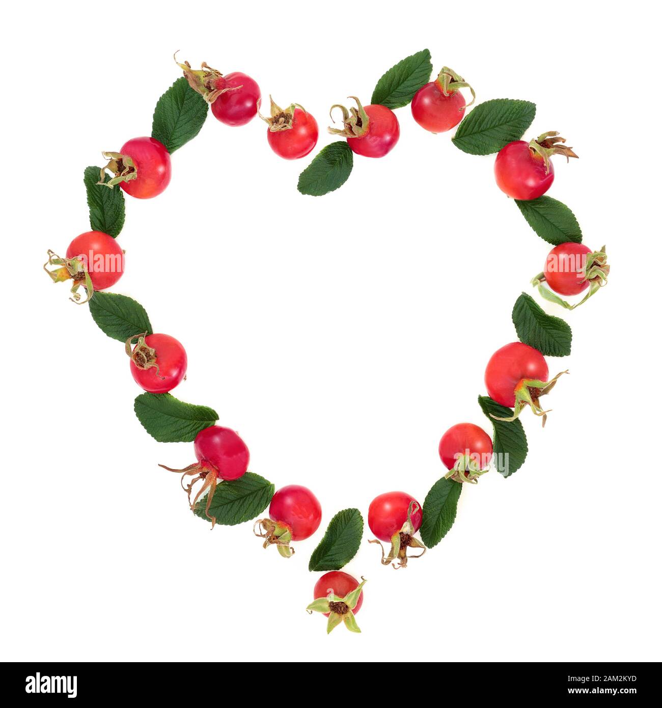 Abstract heart shaped rosehip wreath with berry fruit and leaves. Very high in vitamin c and antioxidants on white background with copy space. Stock Photo
