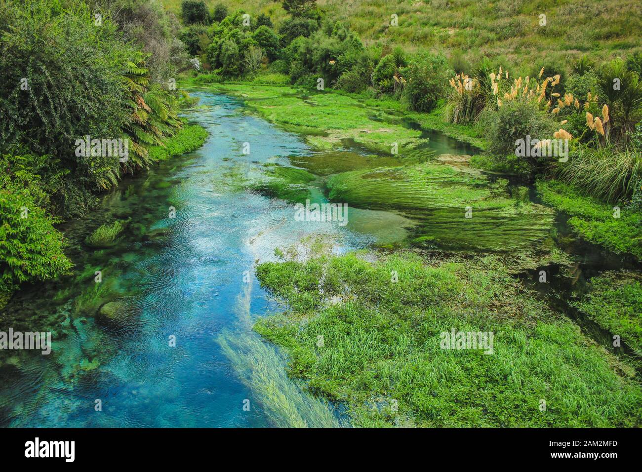 Beautiful scenery at Blue Spring in Putaruru between Hamilton and Rotorua, North Island, New