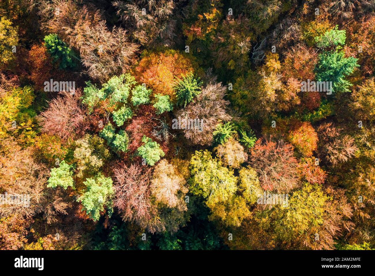 Top down drone hi-res stock photography and images - Alamy